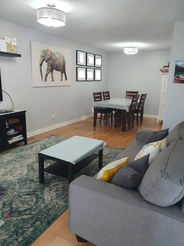 Stunning Room For Rent! Room For Rent!