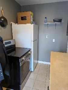 Large One Bedroom - Photo 5