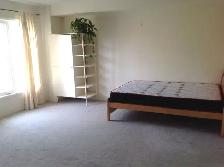 Big York Village Room for rent York University Available now - Photo 4