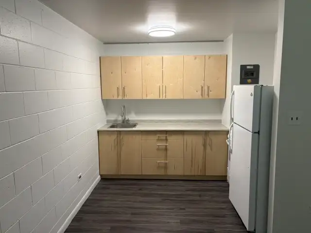 Affordable 1 Bedroom Suite Available for Rent  55  Apartment