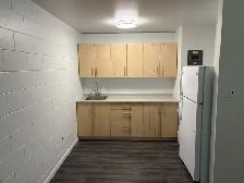 Affordable 1 Bedroom Suite Available for Rent  55  Apartment