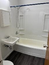 Affordable 1 Bedroom Suite Available for Rent  55  Apartment - Photo 3