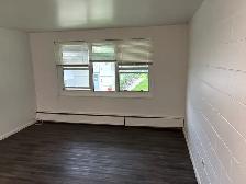 Affordable 1 Bedroom Suite Available for Rent  55  Apartment - Photo 5