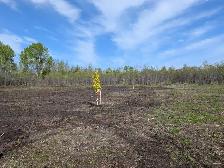 2 Acre Serviced Country Property - Photo 4