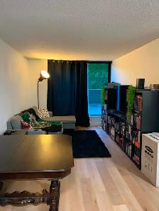 SOUS-LOCATION – Superbe 3 ½ sur le Plateau Mont-Royal - Photo 5