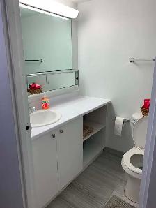 SOUS-LOCATION – Superbe 3 ½ sur le Plateau Mont-Royal - Photo 9