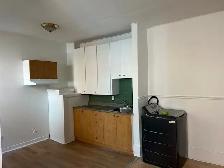 Hochelaga Maisonneuve 3  1/2 à louer 955$ 1er juillet - Photo 3