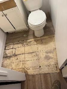 Home renovations - Photo 4
