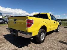 2012 Ford F-150 STX RWD- WARRANTY INC, NO ACCIDENTS, ONE OWNER, - Photo 6