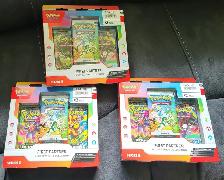 Pokemon First Partner Illustration Collection Series 2
