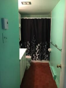 Anjou, grand 41/2 a louer sur Chateauneuf,1300$ - Photo 7