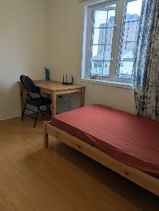 Female, 3rd flr furnished Room, Parking @York University Village - Photo 3