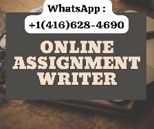 Accounting Assignment Help, Essay Help, Essay Writer, Nursing