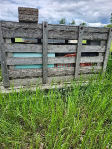 animal crate