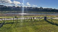 Bridgewater Centre Duplex for Rent - Photo 2