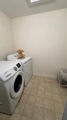 Bridgewater Centre Duplex for Rent - Photo 10