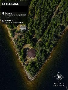 Fly-In Octagon Log Cabin on Lytle Lake, Norther - Photo 9