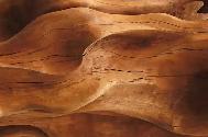 Custom Interior & Exterior Woodwork – Handyman Services, Art - Photo 5