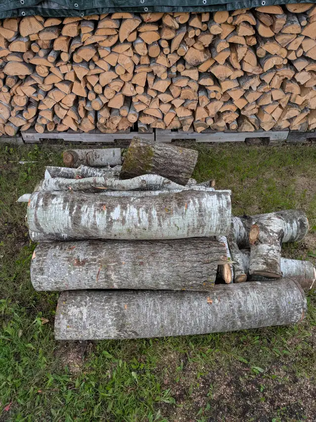 Firewood
