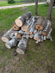 Firewood - Photo 2