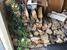 Seasoned Dry Firewood