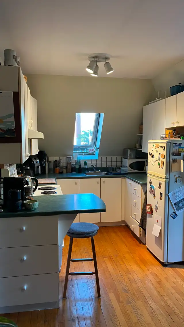 1 Bedroom Apartment for Rent
