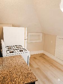 (Downtown) Bright Private 1-Bedroom Apartment @ Top-Floor! - Photo 3