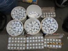 Used Golf Balls - Photo 2