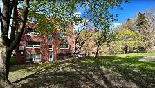 Studio apartment rental on Bayview south of Davisville - Photo 9