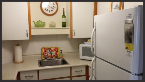 55 Plus Building leasing 1 bedroom suites Osborne Village