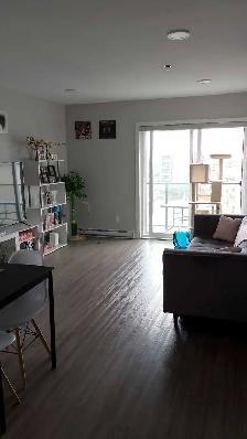Apartment for Sublet