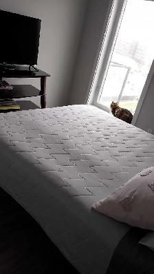 Apartment for Sublet - Photo 7