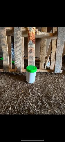 Cleaning Supplies For Free - Photo 2