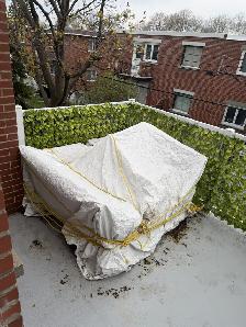 5 ½ — Nouveau-Rosemont - Disponible dès le 1er juillet 2026 - Photo 10