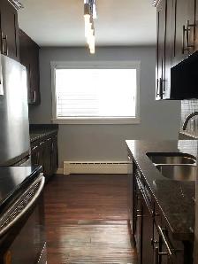 1Bed 1Bath Condo Apartment For Rent In Silver Heights