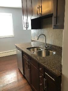1Bed 1Bath Condo Apartment For Rent In Silver Heights - Photo 2