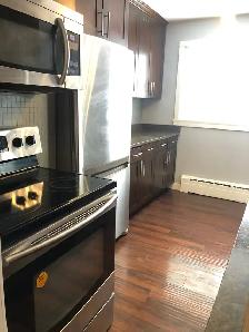 1Bed 1Bath Condo Apartment For Rent In Silver Heights - Photo 3