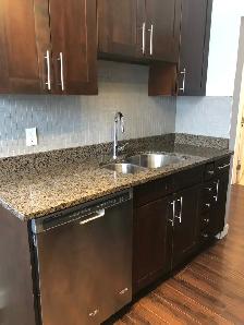 1Bed 1Bath Condo Apartment For Rent In Silver Heights - Photo 4