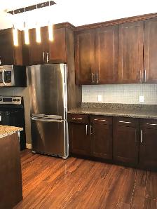 1Bed 1Bath Condo Apartment For Rent In Silver Heights - Photo 5