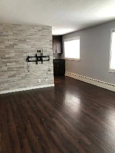 1Bed 1Bath Condo Apartment For Rent In Silver Heights - Photo 7