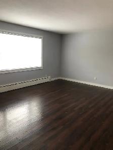 1Bed 1Bath Condo Apartment For Rent In Silver Heights - Photo 9