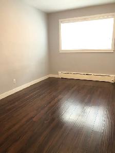 1Bed 1Bath Condo Apartment For Rent In Silver Heights - Photo 12
