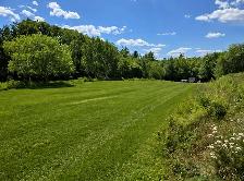 Lawn Care • Property Maintenance • Junk Removal • Deliveries - Photo 3