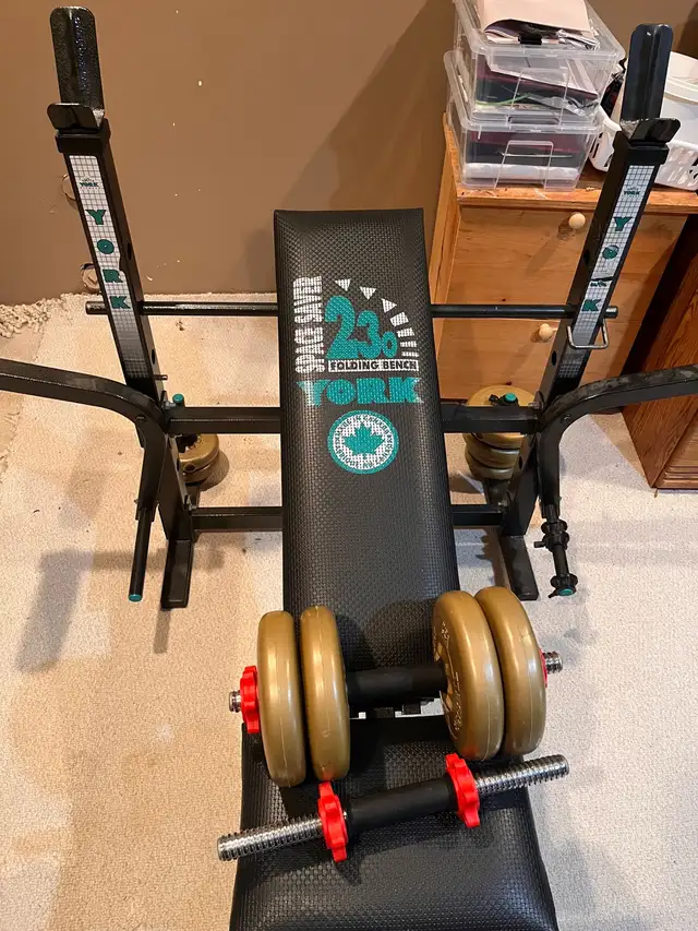 Bench and Weights