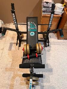 Bench and Weights - Photo 3