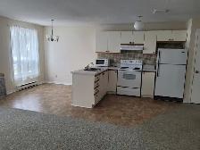 Welcome seniors! Quiet and friendly units available! - Photo 2