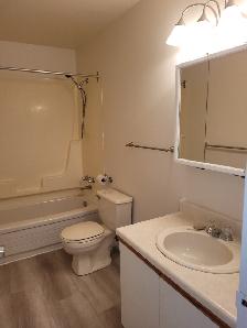 Welcome seniors! Quiet and friendly units available! - Photo 4