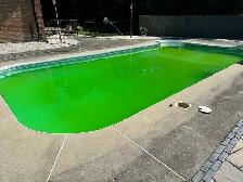 Wewkly Pool Cleaning Service - Photo 4