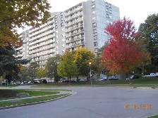 Fabulous Roommate/Large Room to Rent/Apt to Share! - Photo 9