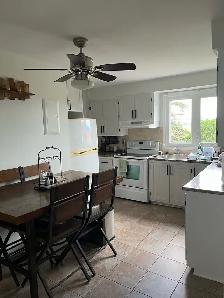 Private, clean & cozy 2BDR in law-suite for rent - Photo 2